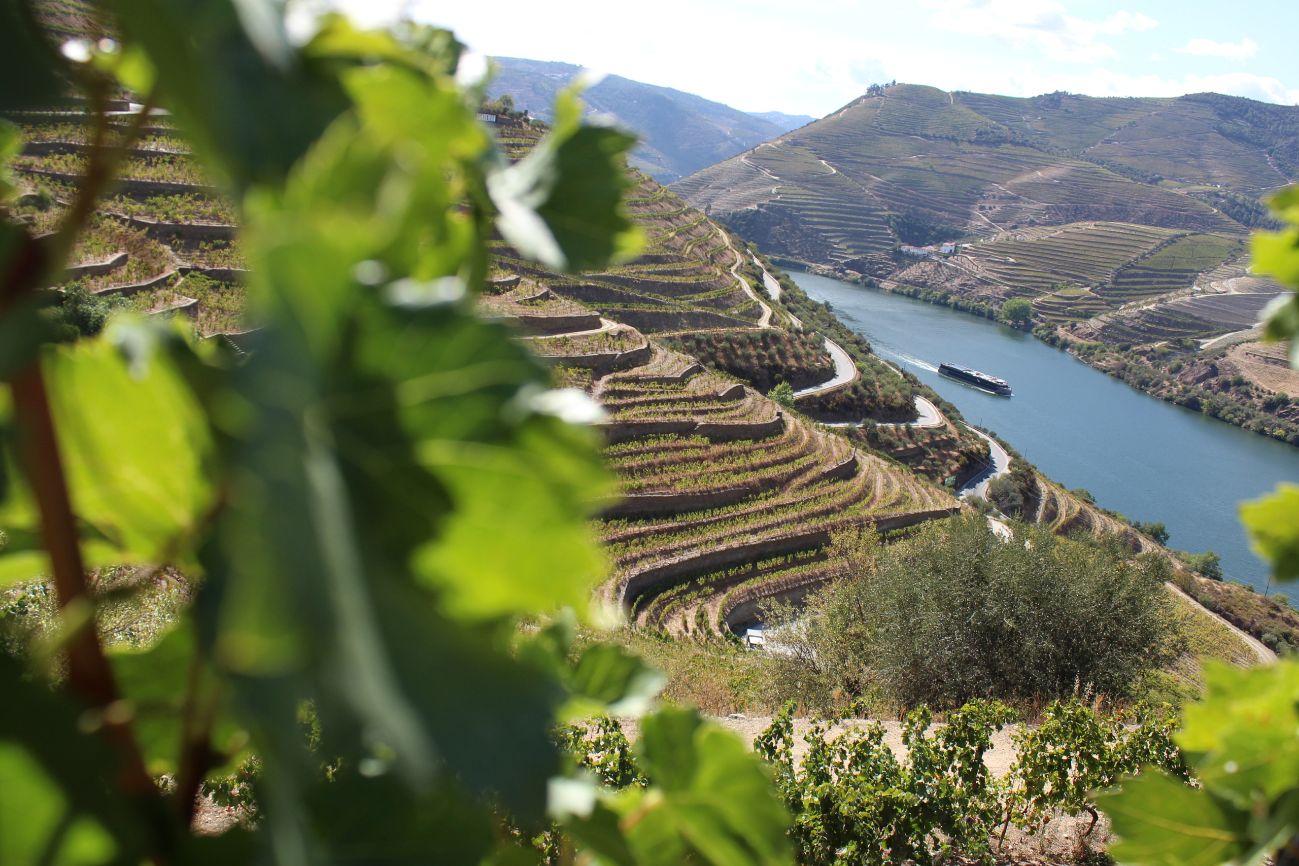 River Cruise on the Duoro River in Portugal in the summertime